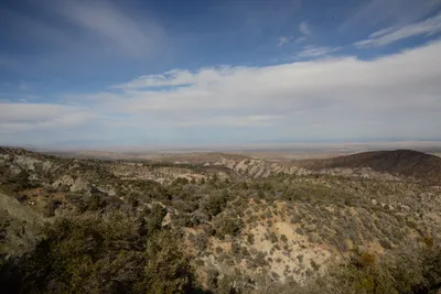 DSC_6259 (Large).JPG